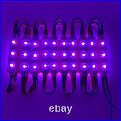 10-1000ft 12V Injection 5050 7 Colors 3 LEDs Module Light Store Billboard Sign