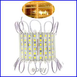 5054 SMD 6 LED Module Light Warm For Store Front Window Sign Lamp+Remote+Power