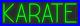 Karate Green 24x8 inches Neon LED Sign Decor Wall Lights Brighten Up Store