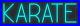 Karate Sky Blue 24x8 inches Neon LED Sign Decor Wall Lights Brighten Up Store